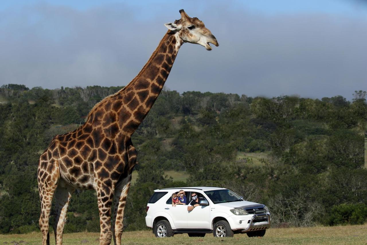 Villa Kragga Kamma Game Park Port Elizabeth Exterior foto